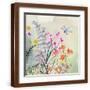 Brown Frame