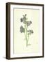 Jacob's Ladder-Frederick Edward Hulme-Framed Giclee Print