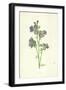 Jacob's Ladder-Frederick Edward Hulme-Framed Giclee Print