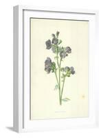 Jacob's Ladder-Frederick Edward Hulme-Framed Giclee Print