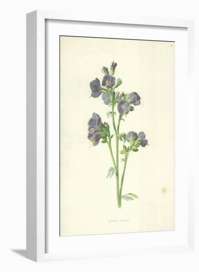 Jacob's Ladder-Frederick Edward Hulme-Framed Giclee Print