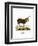 Jacob Sheep-null-Framed Premium Giclee Print