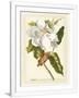 Gramercy White