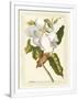 Gramercy White