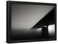 Essential Black