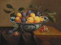 Plums, Peaches and Grapes in a Basket with Carnations and Other Flowers in a Roemer, with…-Jacob Van Hulsdonck-Mounted Giclee Print