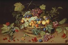 Plums, Peaches and Grapes in a Basket with Carnations and Other Flowers in a Roemer, with…-Jacob Van Hulsdonck-Framed Stretched Canvas