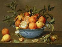 Plums and Peaches on a Pewter Plate-Jacob van Hulsdonck-Giclee Print