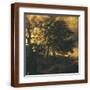Brown Frame