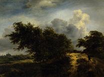 Landscape Near Muiderberg, Early 1650s-Jacob van Ruisdael-Framed Giclee Print