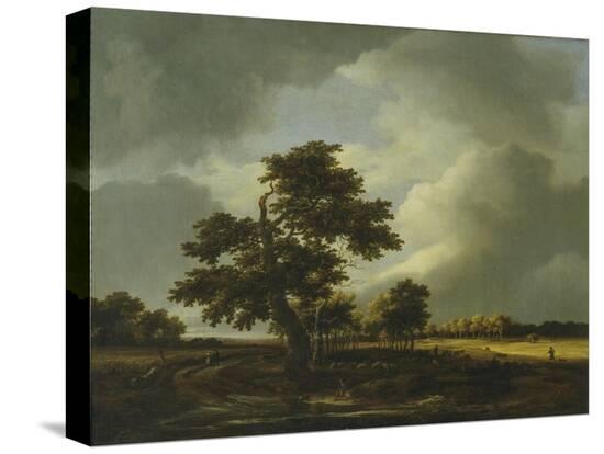 Stretched Canvas Print, , large