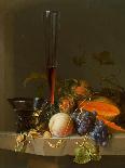 Still Life of Fruit on a Ledge with a Roemer and a Wine Glass-Jacob Van Walscapelle-Framed Giclee Print