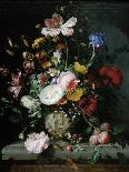 Stilleben Mit Blumenstrauss in Einer Terrakottavase, 1677-Jacob Van Walscapelle-Framed Giclee Print