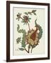 Jacobean Floral I-Vision Studio-Framed Art Print