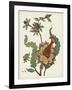 Jacobean Floral I-Vision Studio-Framed Art Print