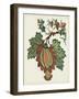 Jacobean Floral II-Vision Studio-Framed Art Print