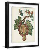 Jacobean Floral II-Vision Studio-Framed Art Print