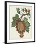 Jacobean Floral II-Vision Studio-Framed Art Print