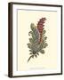 Jacobean Leaf IV-null-Framed Art Print