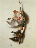 A Hen and a Kingfisher Hanging on a String (Oil on Canvas)-Jacobus Biltius-Giclee Print