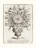 Variatio Florum - Flores Luventutis-Jacobus Kempener-Framed Giclee Print