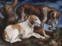 Deux chiens de chasse attachés à une souche-Jacopo Bassano-Framed Giclee Print