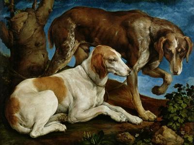 Two Hunting Dogs Tied to a Tree Stump, c.1548-50