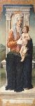 Madonna with Child, Detail of Panel Showing Madonna and Child and Saints Peter Martyr-Jacopo Da Montagna-Giclee Print