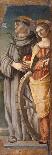 Madonna with Child, Detail of Panel Showing Madonna and Child and Saints Peter Martyr-Jacopo Da Montagna-Giclee Print