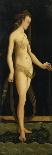 Galatea Standing on a Dolphin-Jacopo De Barbari-Framed Stretched Canvas