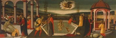 Adoration of the Christ Child-Jacopo Del Sellaio-Art Print