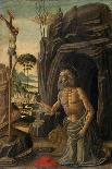 St. Jerome as a Penitent, C.1590-Jacopo Del Sellaio-Giclee Print
