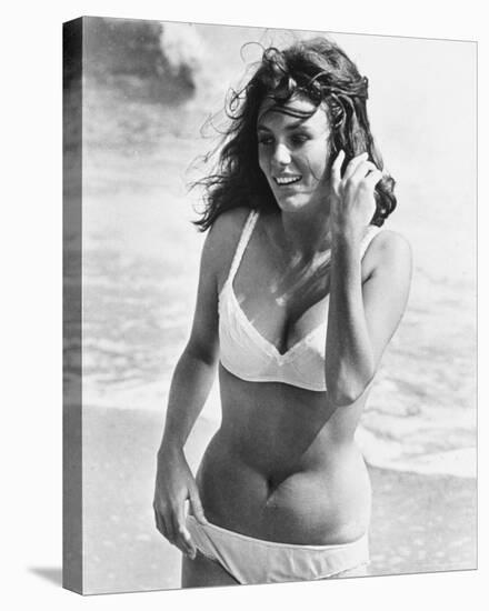 Jacqueline Bisset-null-Stretched Canvas