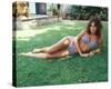 Jacqueline Bisset-null-Stretched Canvas