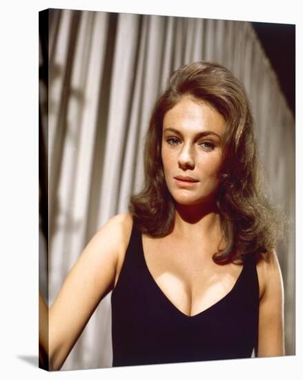 Jacqueline Bisset-null-Stretched Canvas