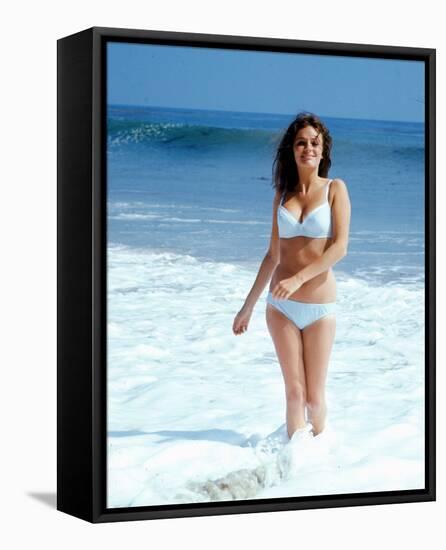 Jacqueline Bisset-null-Framed Stretched Canvas