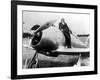 Jacqueline Cochran Was an American Woman Pilot with the US Entry into the War-null-Framed Photo