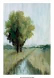 Bayou II-Jacqueline Ellens-Giclee Print