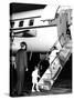 Jacqueline Kennedy Welcomed Home after Vacation on Aristotle Onassis's Yacht, Oct 17, 1963-null-Stretched Canvas