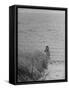 Jacqueline Kennedy, Wife of Dem. Candidate, Walk Along Beach Near Kennedy Compound on Election Day-Paul Schutzer-Framed Stretched Canvas