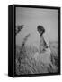 Jacqueline Kennedy, Wife of Dem. Pres. Candidate, Taking Walk Along Beach on Election Day-Paul Schutzer-Framed Stretched Canvas