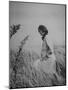 Jacqueline Kennedy, Wife of Dem. Pres. Candidate, Taking Walk Along Beach on Election Day-Paul Schutzer-Mounted Photographic Print