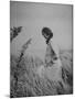 Jacqueline Kennedy, Wife of Dem. Pres. Candidate, Taking Walk Along Beach on Election Day-Paul Schutzer-Mounted Photographic Print