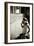 Jacqueline Kennedy-Toni Frissell-Framed Giclee Print