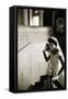 Jacqueline Kennedy-Toni Frissell-Framed Stretched Canvas