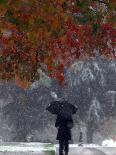 October Snow-Jacqueline Larma-Premium Photographic Print