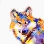 Laminate