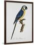 Gramercy Espresso