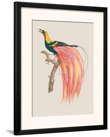 Framed Giclee Print, , large