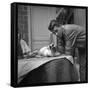 Jacques Brel Cuddling His Cat, September 1959-Marcel Begoin-Framed Stretched Canvas